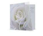 Familycards_8