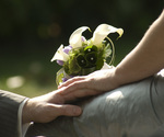 Jan_wilms_fotografie-4