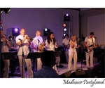 Madhousepartyband