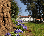 Sandton_landgoedhotel_vennendal_6