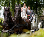 Stieberfotografie_4