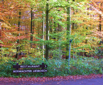 Boswachterliesbosch