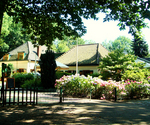 Boswachterliesbosch7