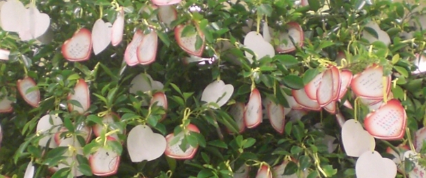 Wensboompje