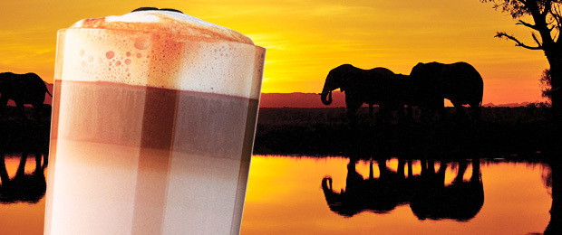Amarula