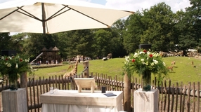 Dierenpark