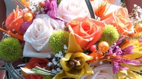 Betekenisbloemen